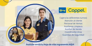 POLLO CAMPERO Nuevas Vacantes Disponibles